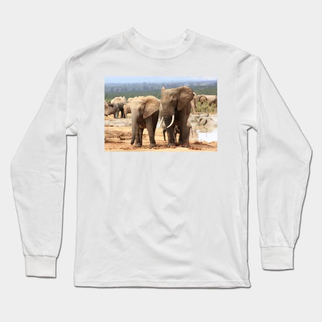 African Wildlife Photography Elephant Siblings Long Sleeve T-Shirt by PathblazerStudios